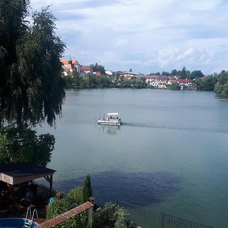 Apartmany Setkova Vila Jindřichŭv Hradec Eksteriør billede